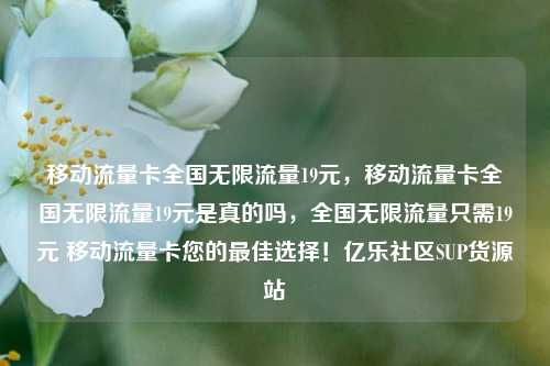 移动流量卡全国无限流量19元	，移动流量卡全国无限流量19元是真的吗，全国无限流量只需19元 移动流量卡您的最佳选择！亿乐社区SUP货源站  第1张