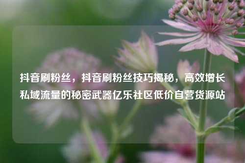 抖音刷粉丝，抖音刷粉丝技巧揭秘，高效增长私域流量的秘密武器亿乐社区低价自营货源站  第1张