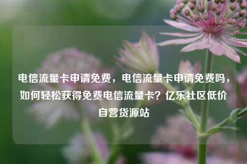 电信流量卡申请免费，电信流量卡申请免费吗	，如何轻松获得免费电信流量卡？亿乐社区低价自营货源站  第1张